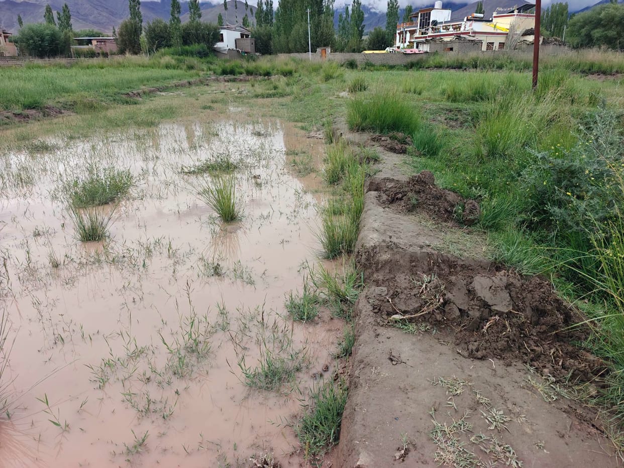 Chushot Nallah in spate; crops damaged.