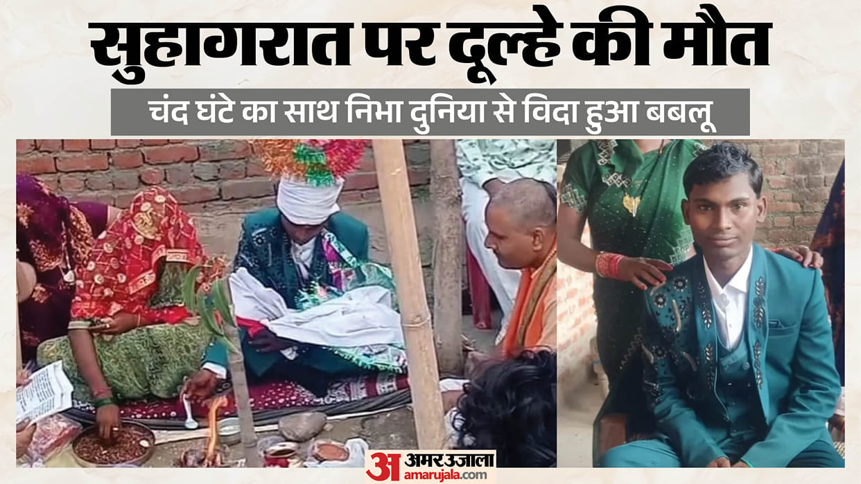 Groom dies of snakebite on wedding night in Budaun