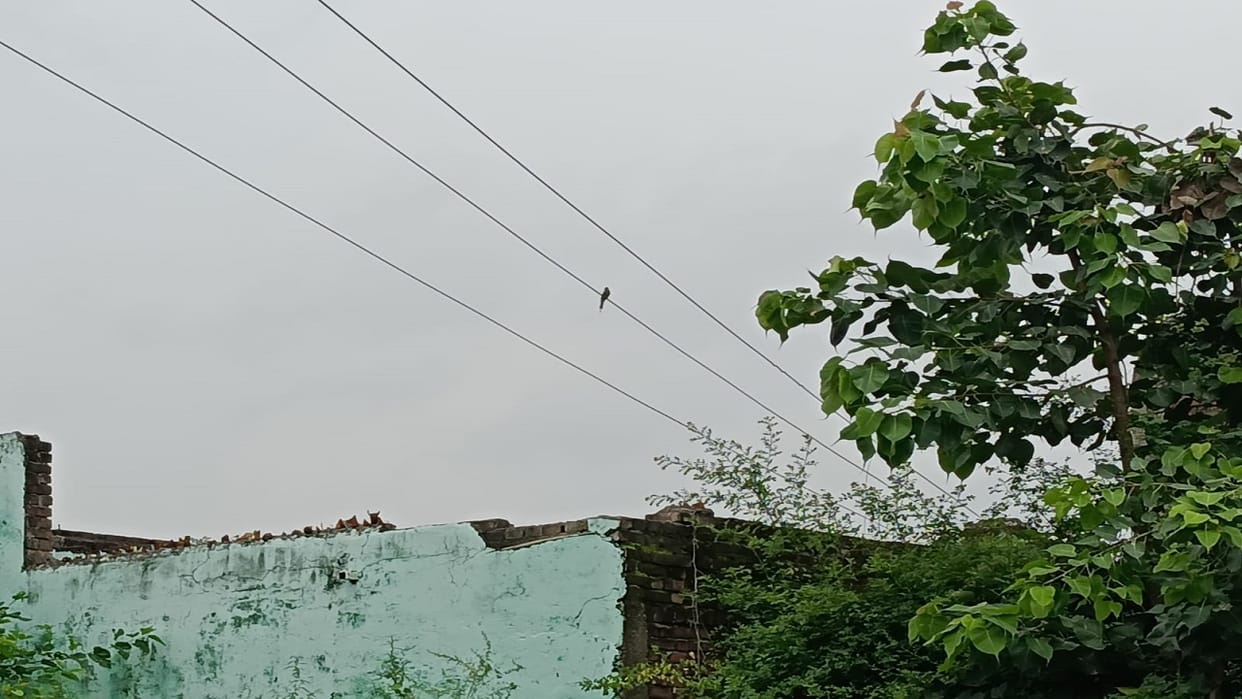 Girl Student severely burned by high-tension line shock in Pilibhit