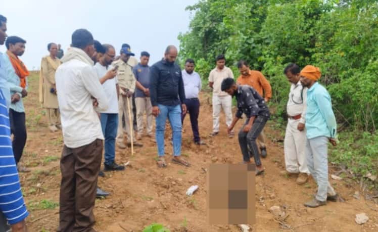 Betul News: Five peacocks died after eating poisonous corn grains, forest department arrested the farmer.