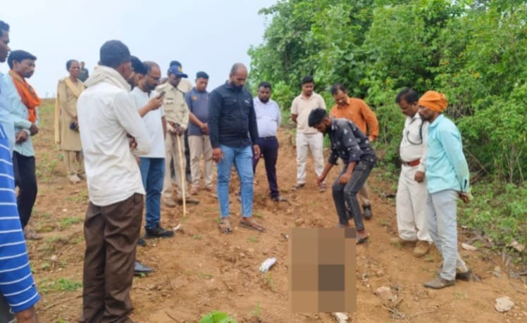 Betul News: Five peacocks died after eating poisonous corn grains, forest department arrested the farmer.