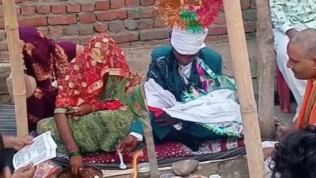 Groom dies of snakebite on wedding night in Budaun