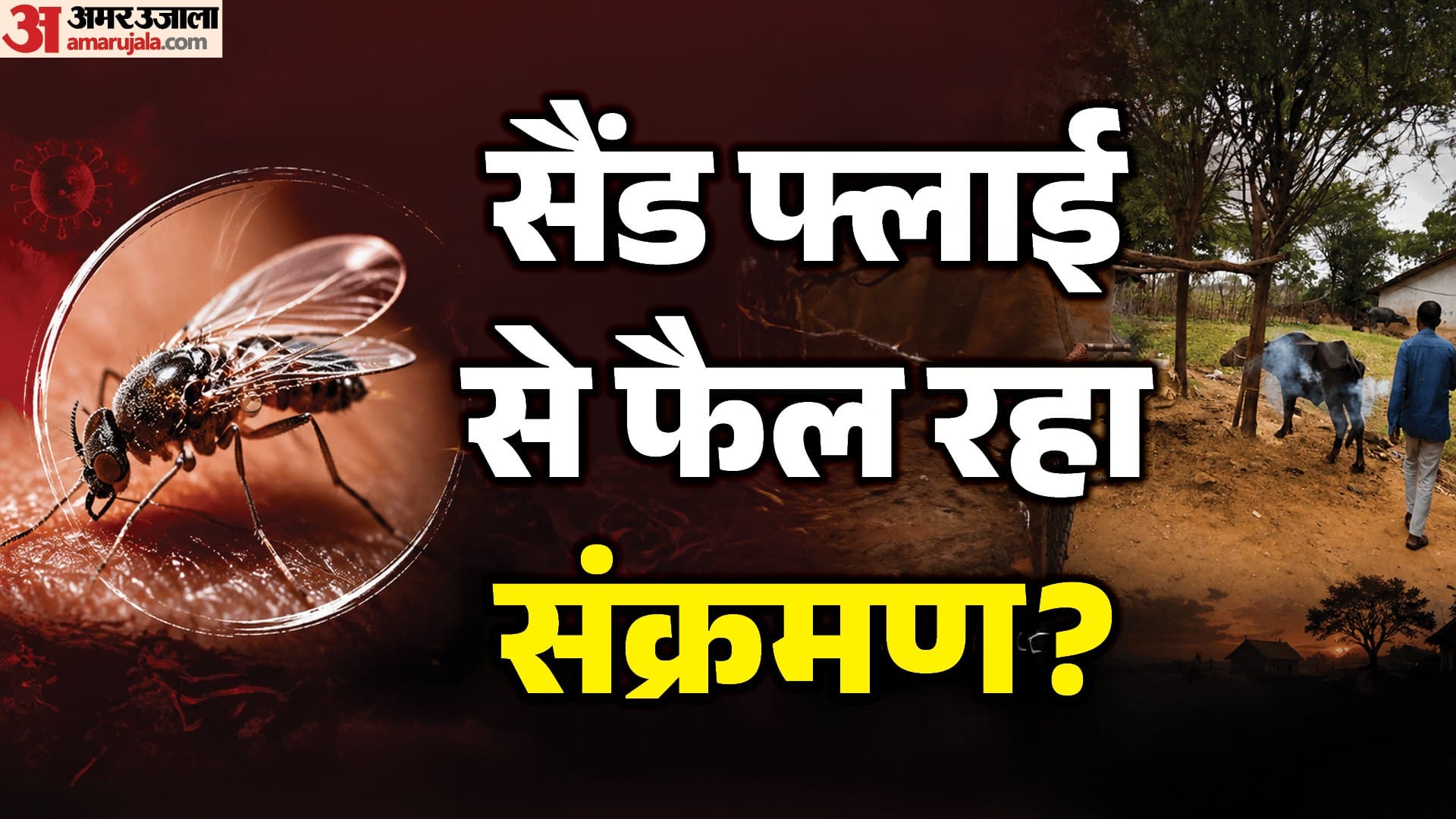 संक्रमण को रोकने के लिए ग्रामीणों से जागरूक रहने की अपील