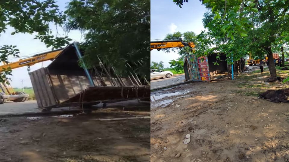 speeding container overturned killing over 100 animals in mathura