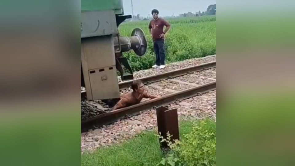 Shamli: Man Who Lay in Front of Train During Day Dies After Jumping Before Train at Night