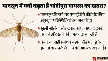 How Can a Sandfly Put Children Under 15 at Risk? How Chandipura Virus Spreads and What Are Its Symptoms?