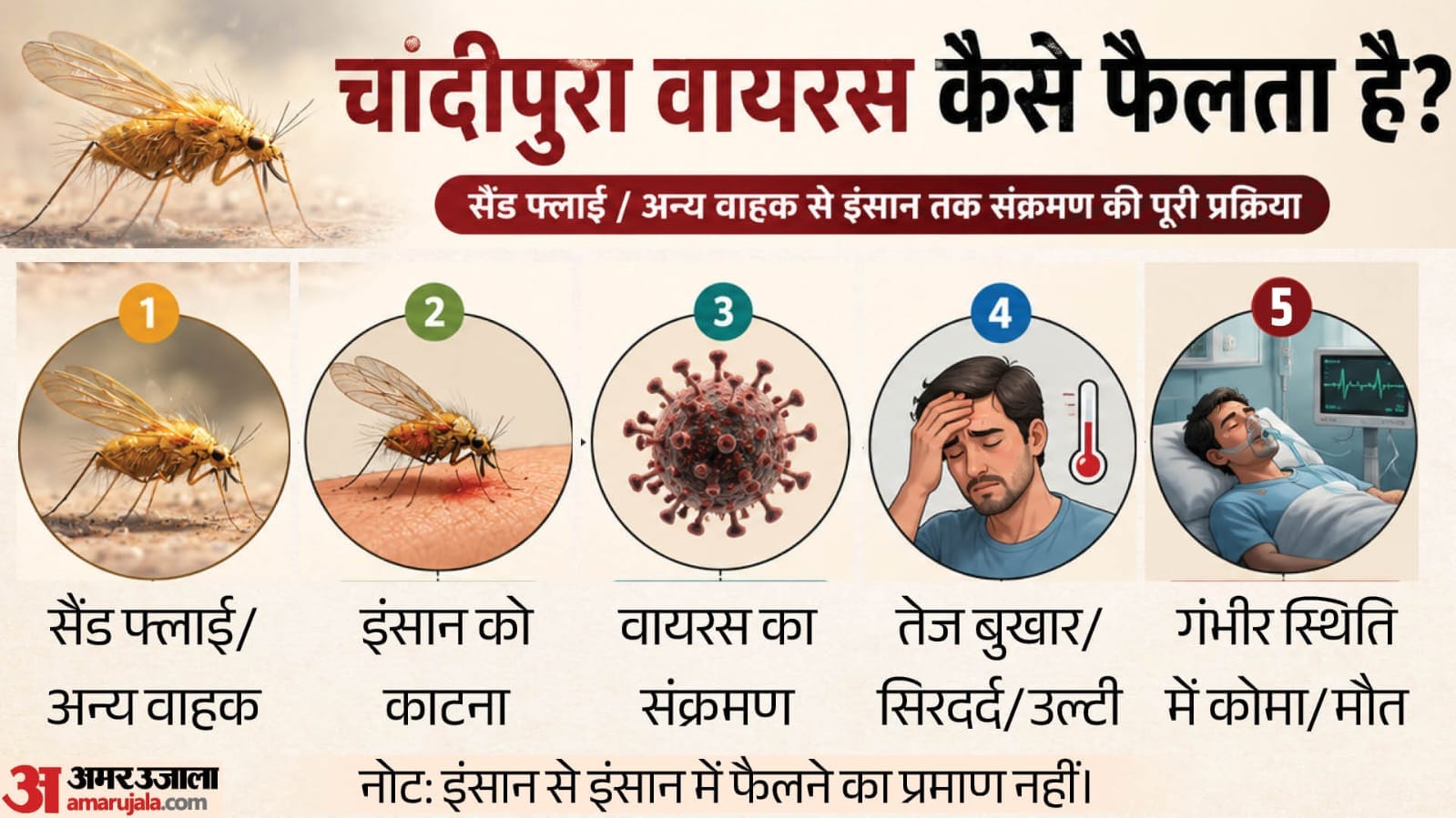 चांदीपुरा वायरस
