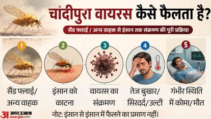 How Can a Sandfly Put Children Under 15 at Risk? How Chandipura Virus Spreads and What Are Its Symptoms?