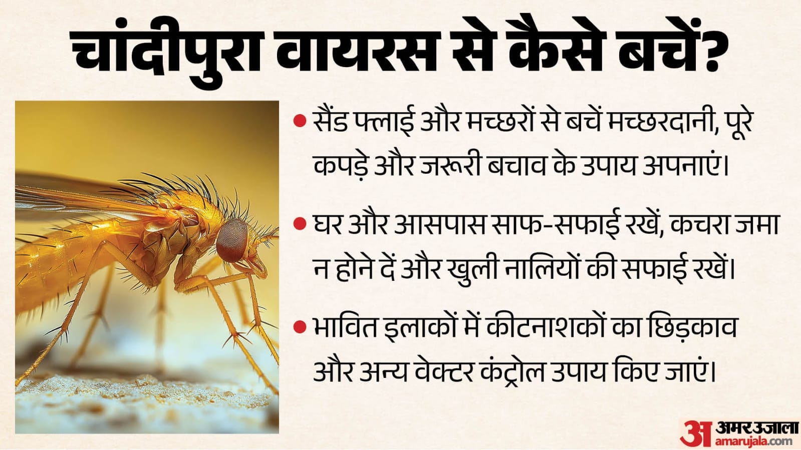 चांदीपुरा वायरस