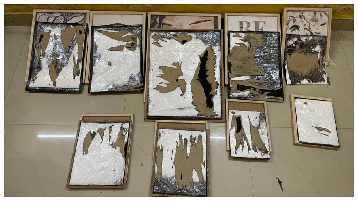 ncb seize drugs in mumbai which were send to new zealand