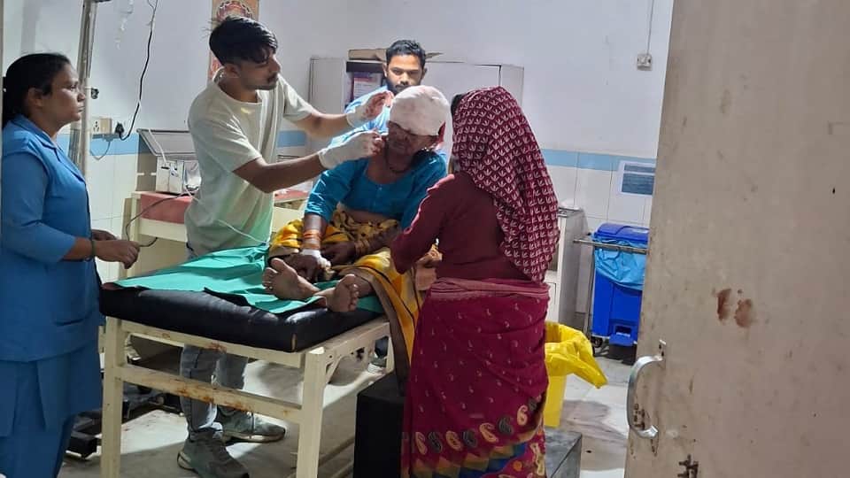 A woman was cutting grass and was attacked by a tiger in ramnagar