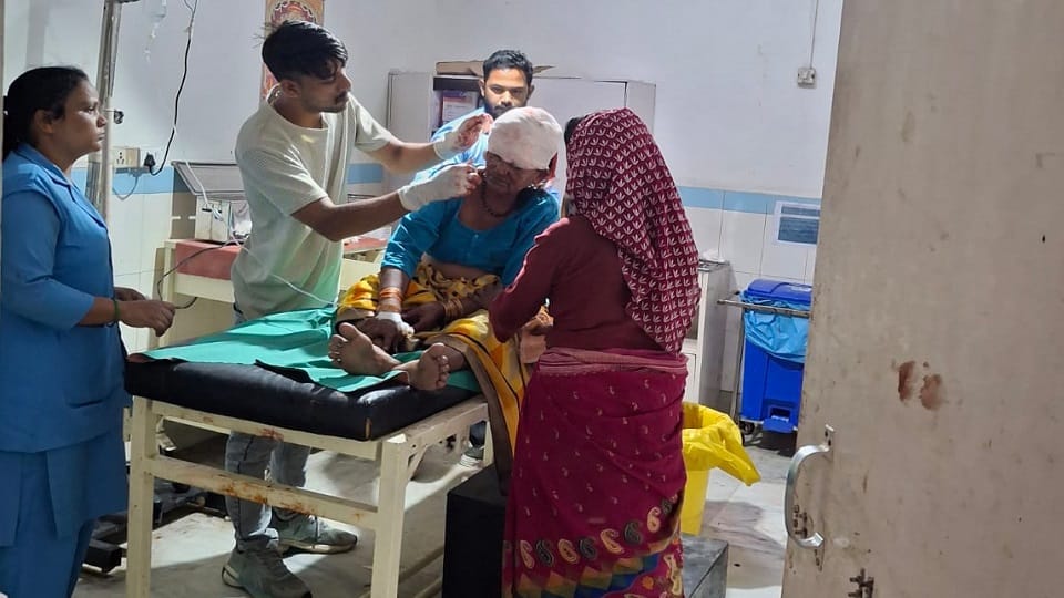 A woman was cutting grass and was attacked by a tiger in ramnagar