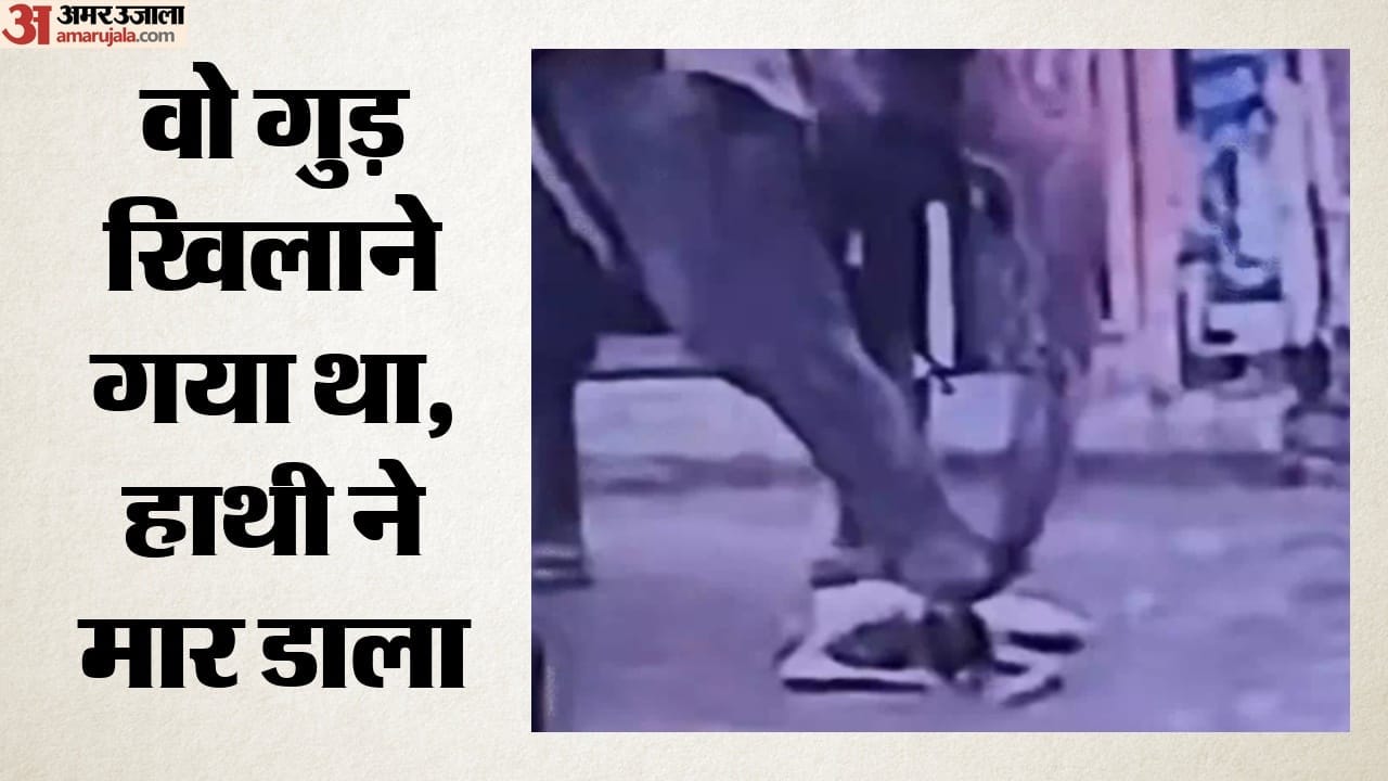 इंदौर में हाथी ने कुचलकर मार डाला