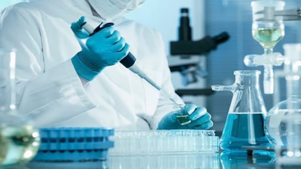 Worms in Flour Adulterated Milk Fake Ghee and Paneer 497 Samples Fail