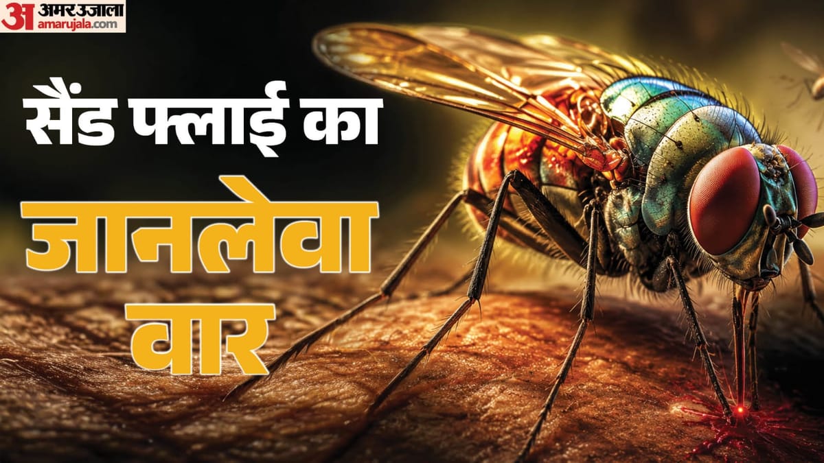 एक मक्खी ले सकती है 15 साल से कम उम्र के बच्चों की जान, कैसे फैलता है चांदीपुरा वायरस, लक्षण क्या?