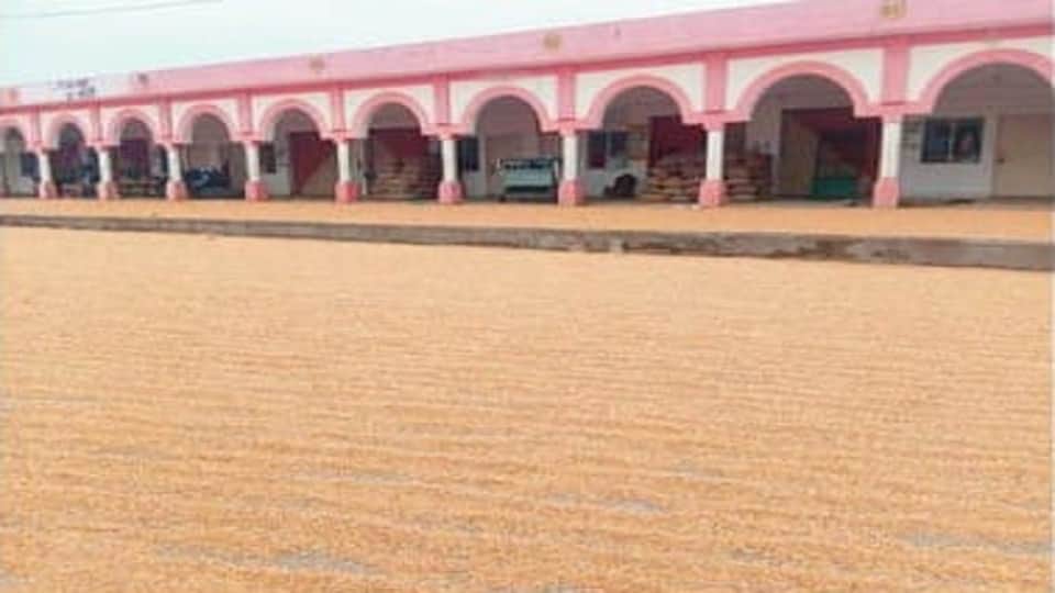 Crops being sold hand-to-hand in mandi