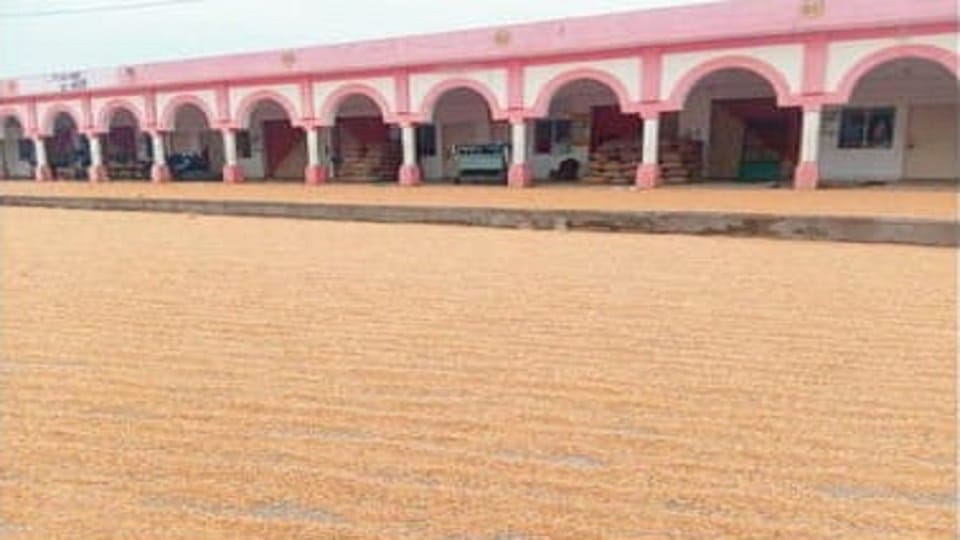 Crops being sold hand-to-hand in mandi