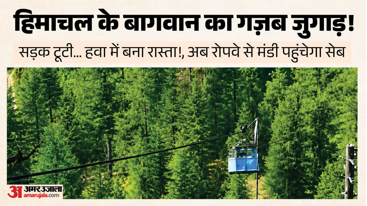 shimla kotkhai apple farmers ropeway transport innovation