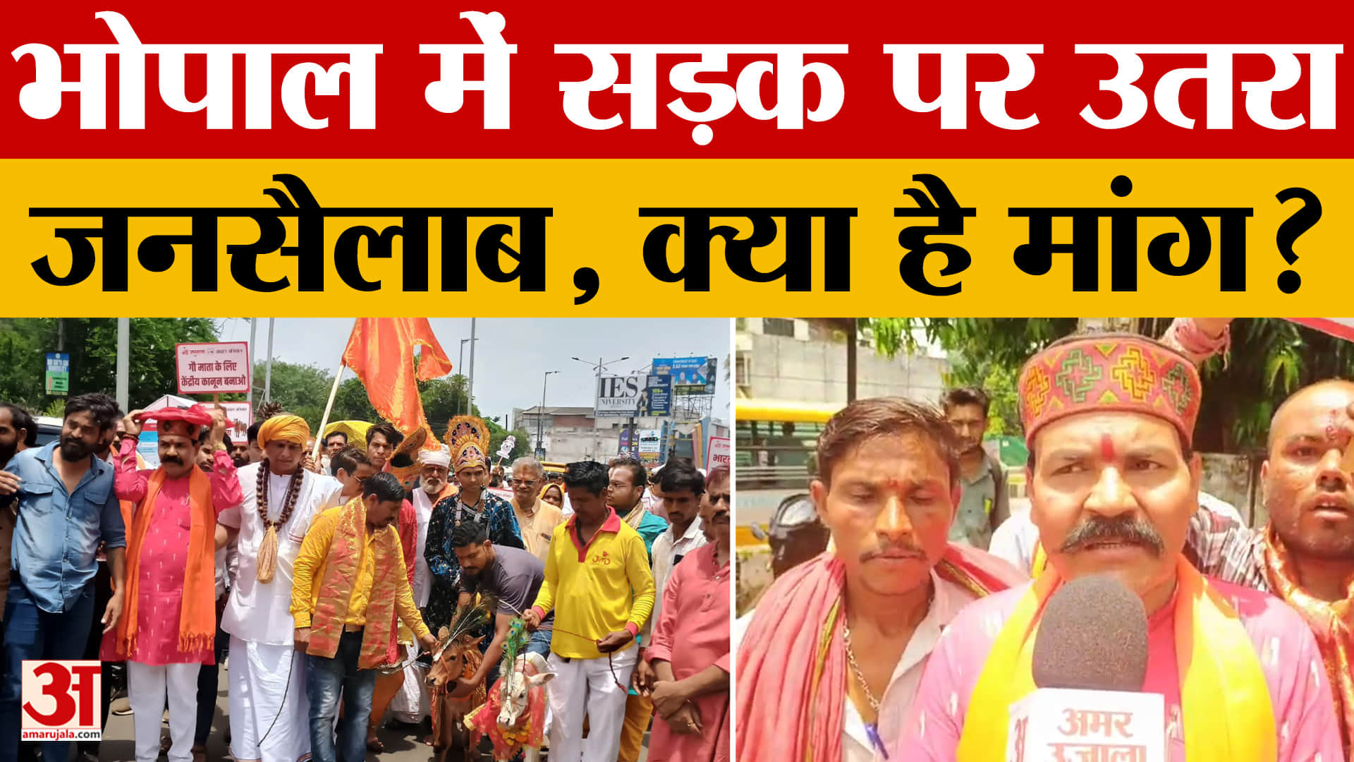 Bhopal News: सड़क पर उतरे सैकड़ों लोग, गाय को लेकर सरकार को दी ये चेतावनी