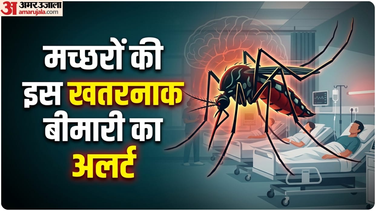 west nile virus cases worldwide know what is west nile virus its complications and risk