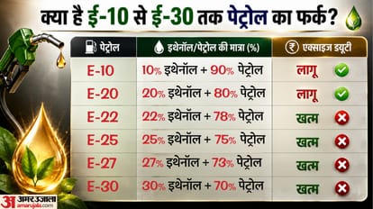 Indian Government Excise Duty E22 to E30 Petrol Prices Ethanol Blending Fuel Modi Govt E20 Standard know plann