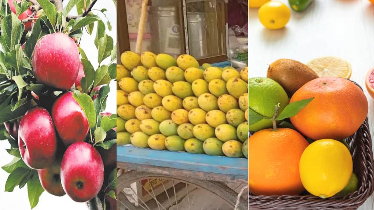 HP Horticulture: Mangoes, citrus fruits, and even C grade apples get MSP support; find out how farmers will be