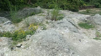 Kanpur Chromium in Maharajpur toxic green waste found four locations slow poison seeping into soil