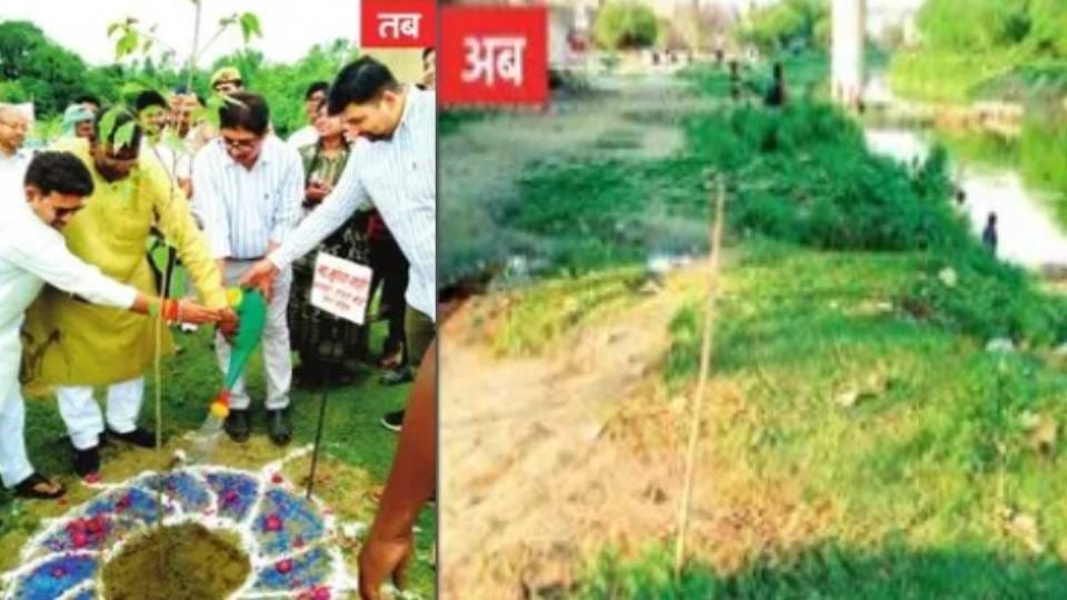 No trace remains where minister planted sapling in Sitapur ground report reveals truth