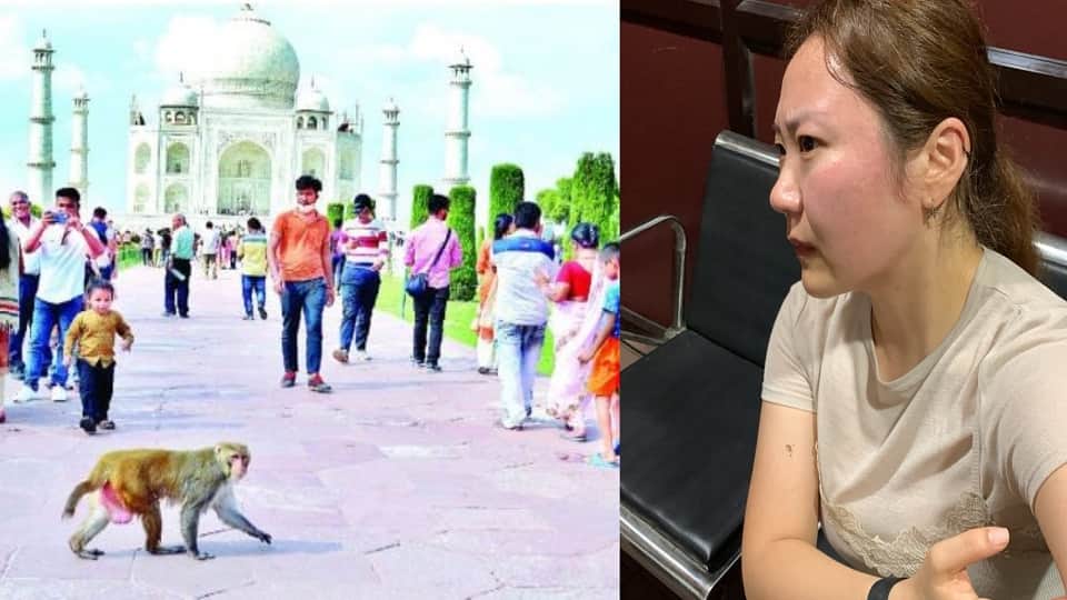 Monkey Attacks South Korean Tourist at Taj Mahal Bites Her Hand