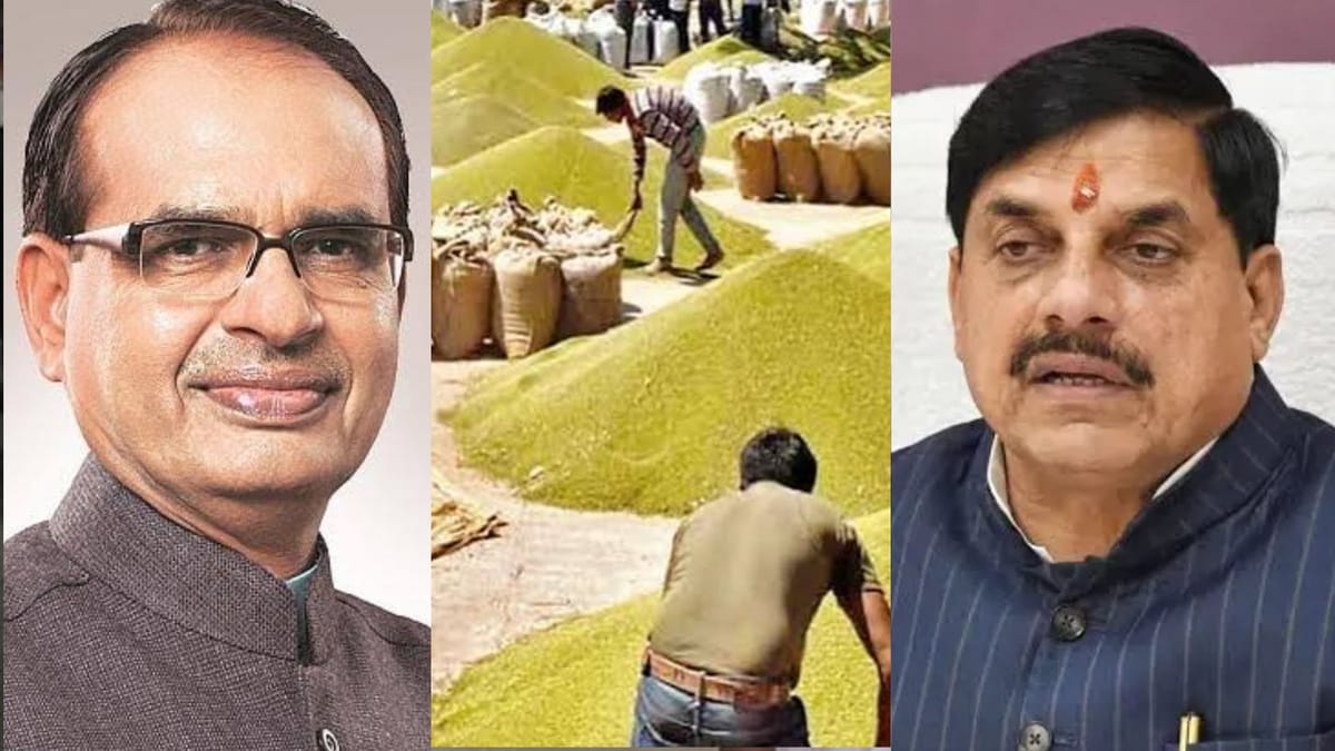MP News: मूंग खरीद सीमा पर केंद्र का जवाब: पहले 4.54 लाख मीट्रिक टन की खरीद पूरी करें, फिर बढ़ेगा कोटा