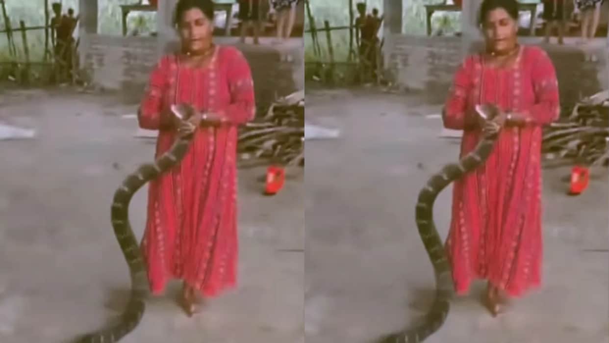 Woman Casually Holds a Giant Snake Viral Video Leaves the Internet Stunned