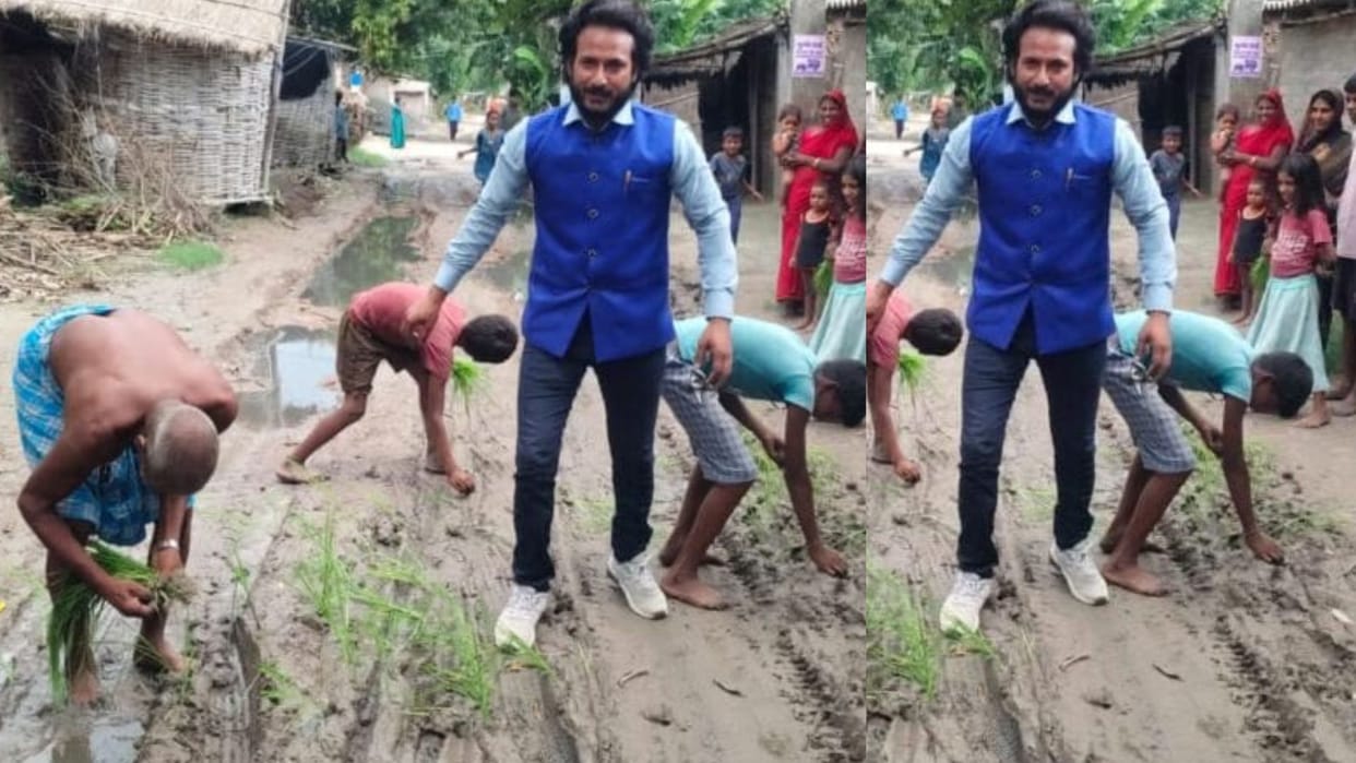 Bihar Villagers Plant Paddy on Battered Road in Deputy CM Constituency to Protest Inaction