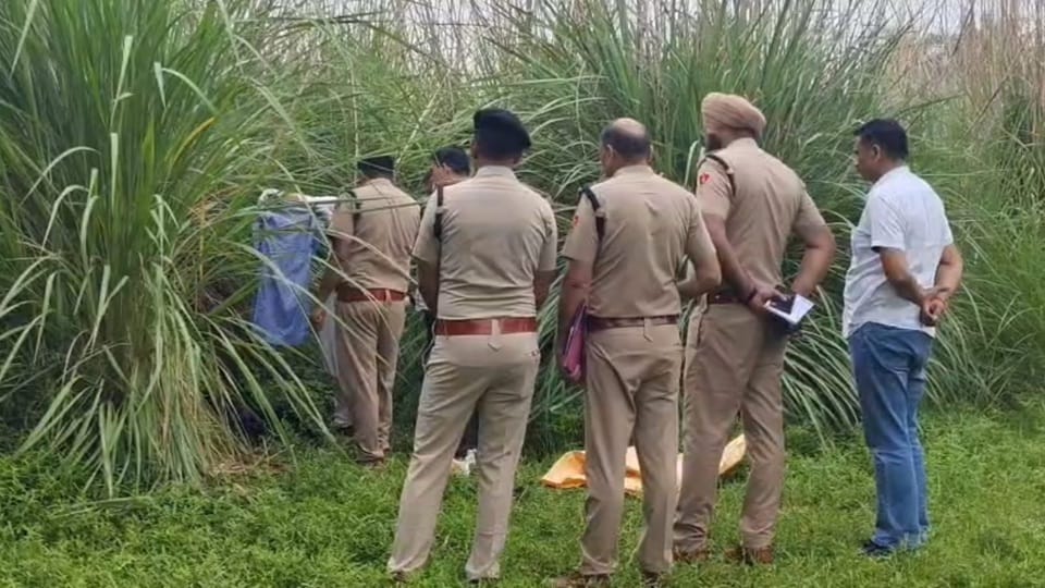 Attempt to molest a Class 7 student after dragging her into the bushes in Ambala.