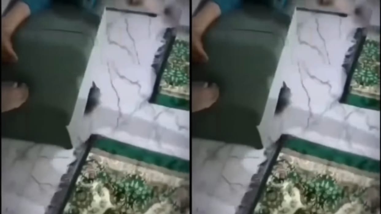 Rat Enters a Room Boys Unexpected Reaction Sparks Viral Buzz on Social Media