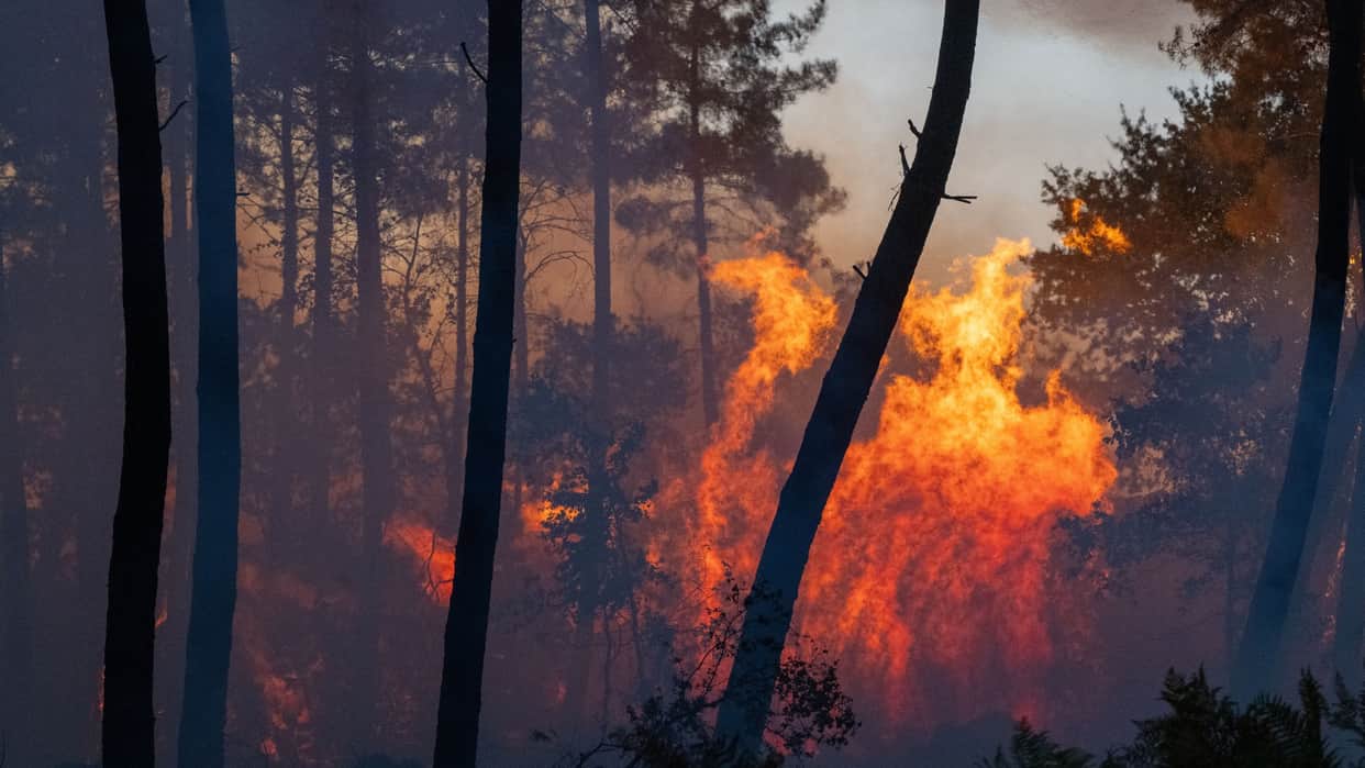 canada wildfire in british columbia emergency imposed