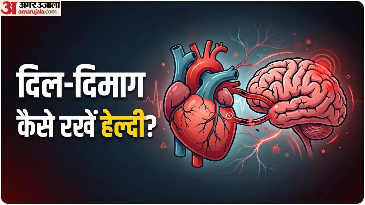 how to keep Heart and Brain Healthy know what habits to follow for this