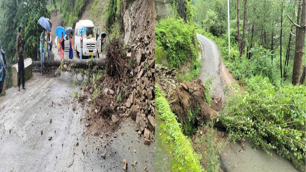 शिमला में भारी बारिश से गिरे पेड़।