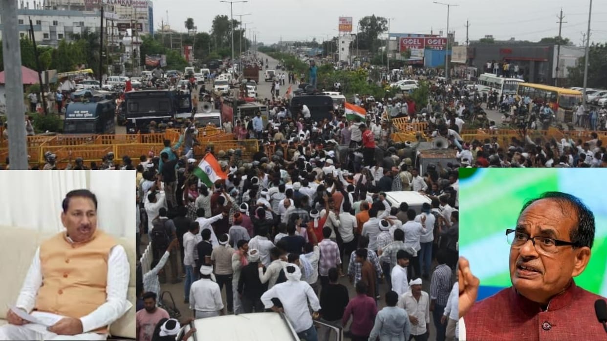 MP News: Demand to raise moong procurement target to 8.06 lakh tonnes; Agriculture Minister writes to Union Ag