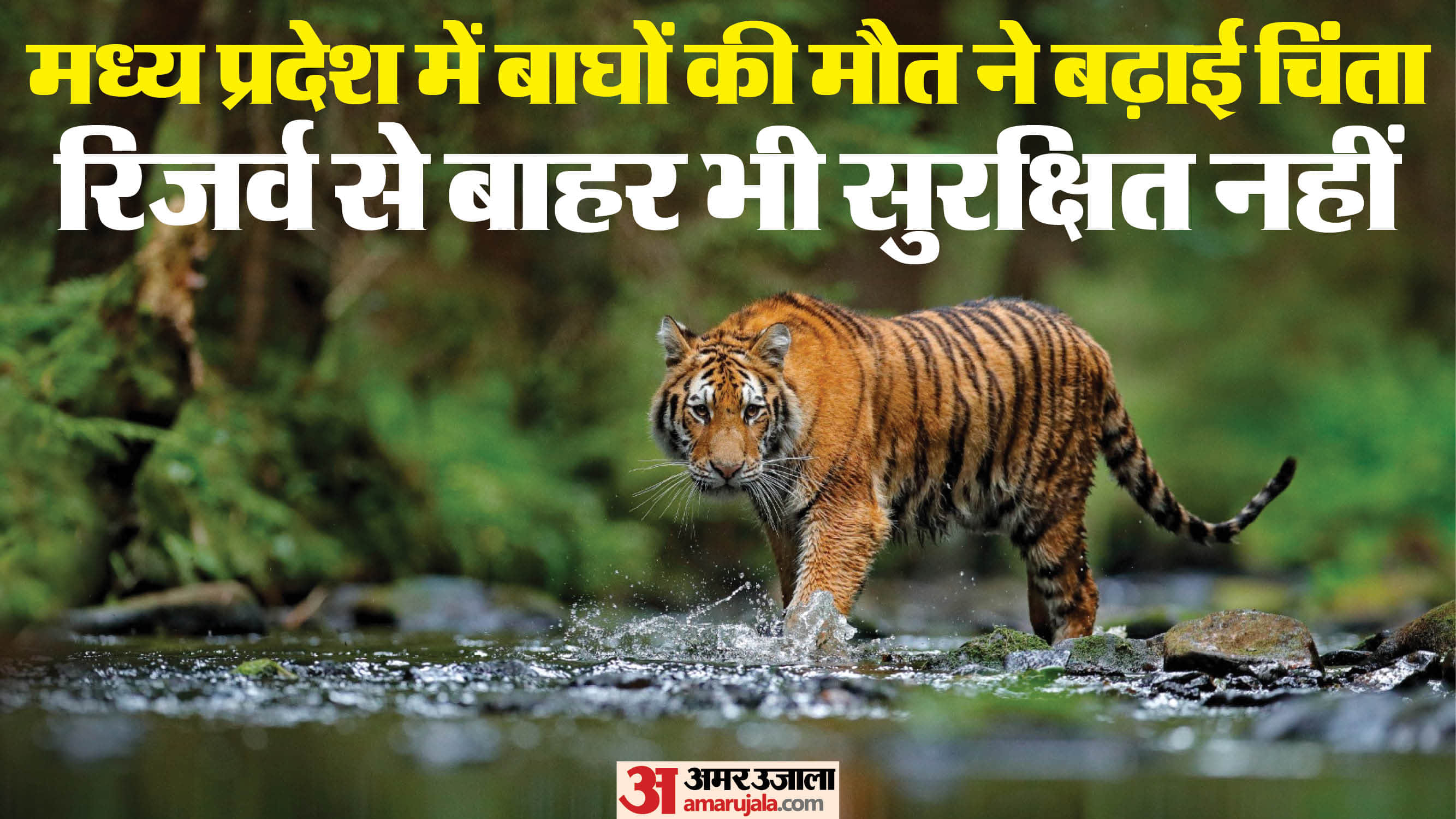 सांकेतिक