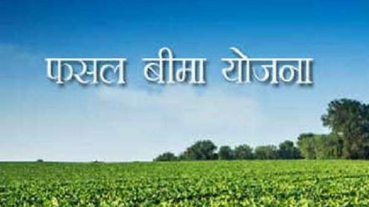 Get horticultural crops insured by July 31, you will get financial security from natural risks in Chhattisgarh