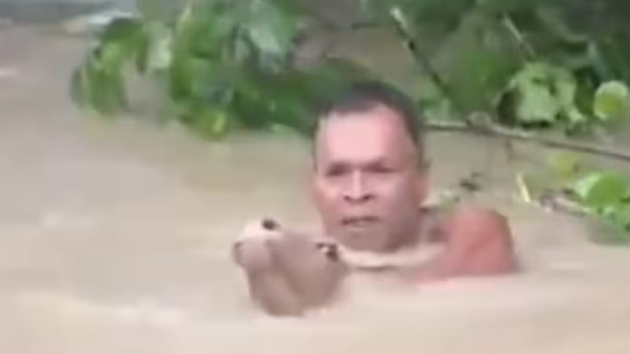 Man braves floodwaters to rescue stranded calf during Assam floods