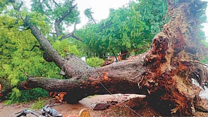 Meerut Records Highest July Rainfall in 22 Years; City Flooded, Roads Turn into Waterlogged Stretch