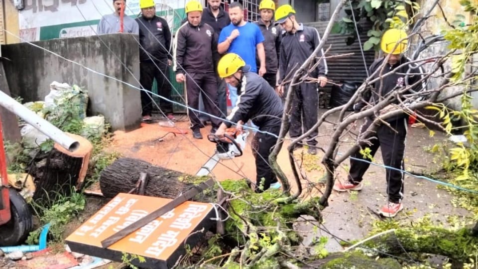 A tree fell on houses and shops amid storm and rain in Bin pithoragarh