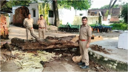 two women killed and three injure due to peepal tree branch falls during Gram Dev worship in Budaun