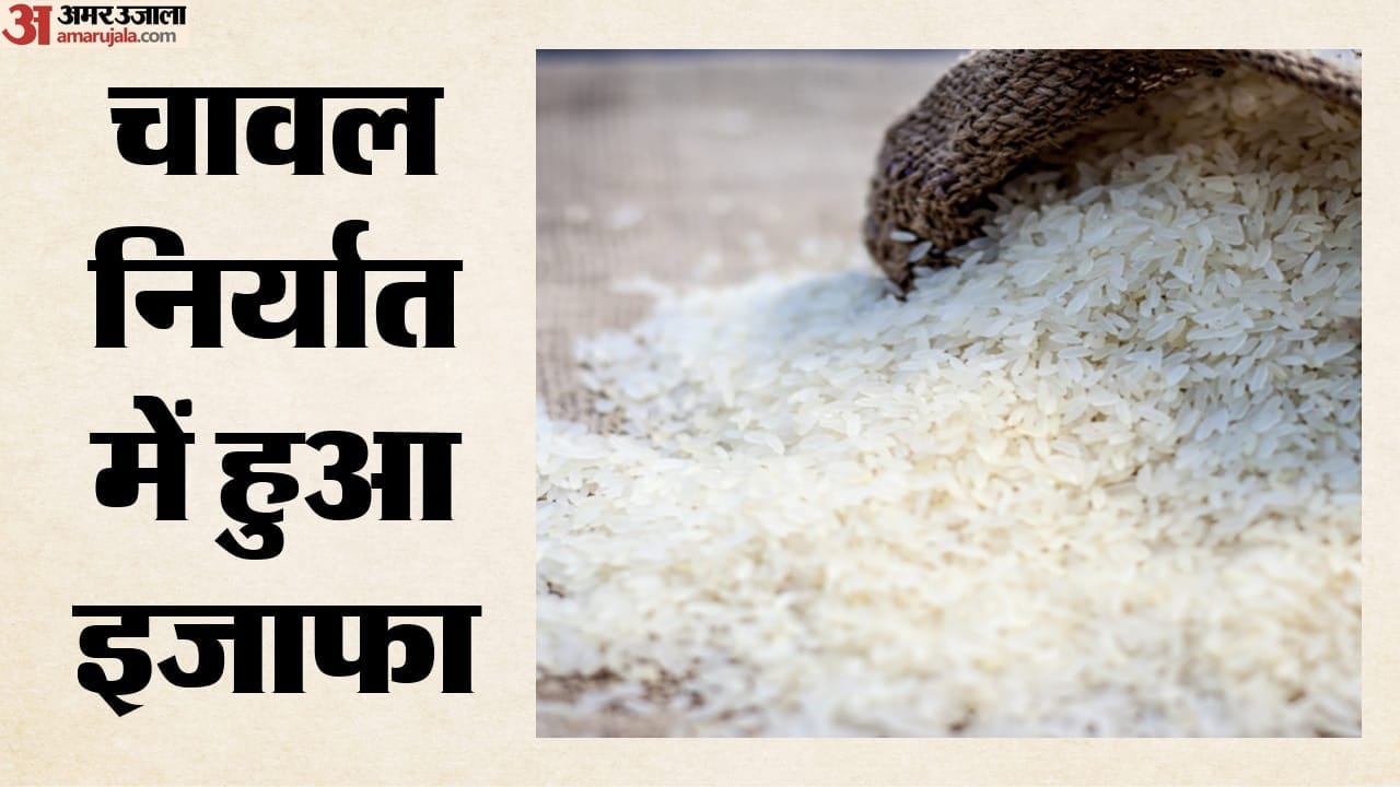 rice-prices-rise-export-reaches-three-year-high-500-pulses-procurement-centres