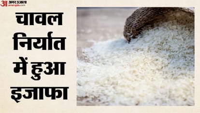 चावल निर्यात