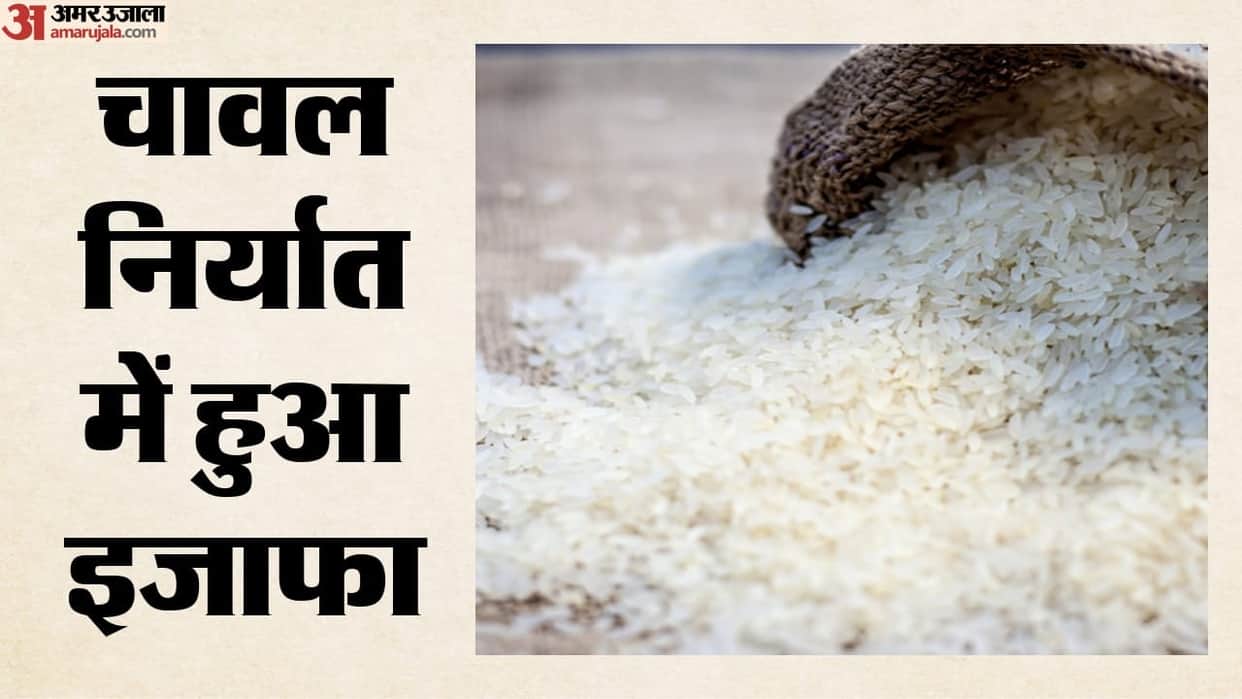 India's Rice Exports Rise 5% Amid West Asia Crisis, Non-Basmati Leads Growth