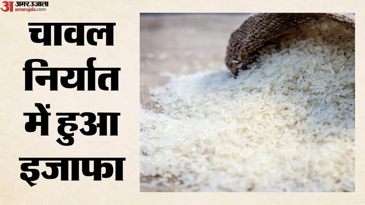 चावल निर्यात