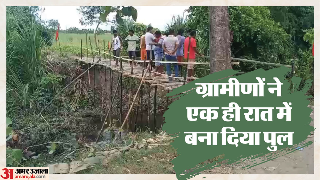 Bihar Villagers Build Bridge Overnight to Escape Crocodile Terror After Official Neglect