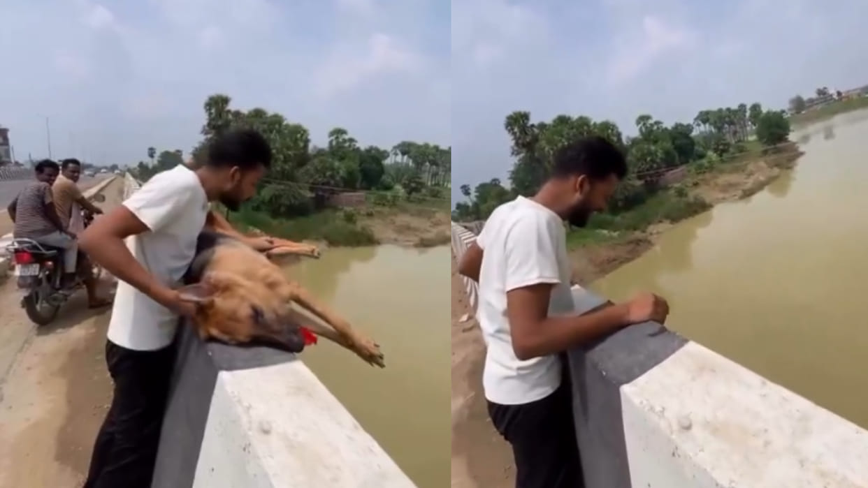 Boy rescue dog body thrown into river social media erupts after viral video